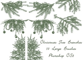 Christmas_Tree_Branch