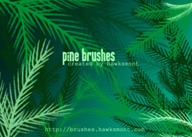 pine-brush