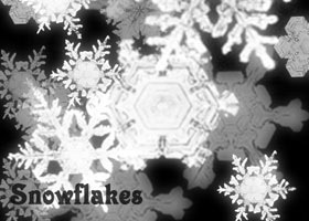 snow-flake-1