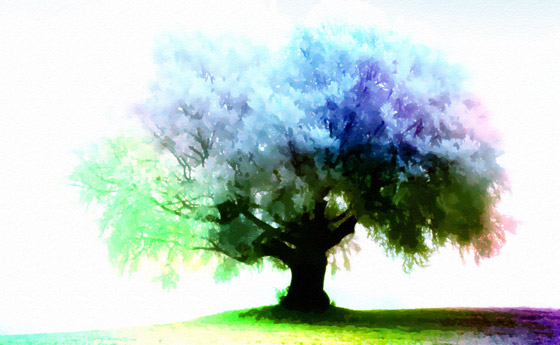 wallpaper tree. Season Tree wallpaper