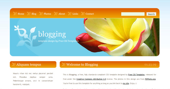 blogging-css-xhtml-template
