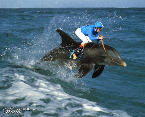 dolphin-racing-photomanipulation