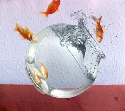 floating-fish-photomanipulation
