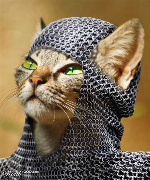 medieval-kitty-photomanipulation