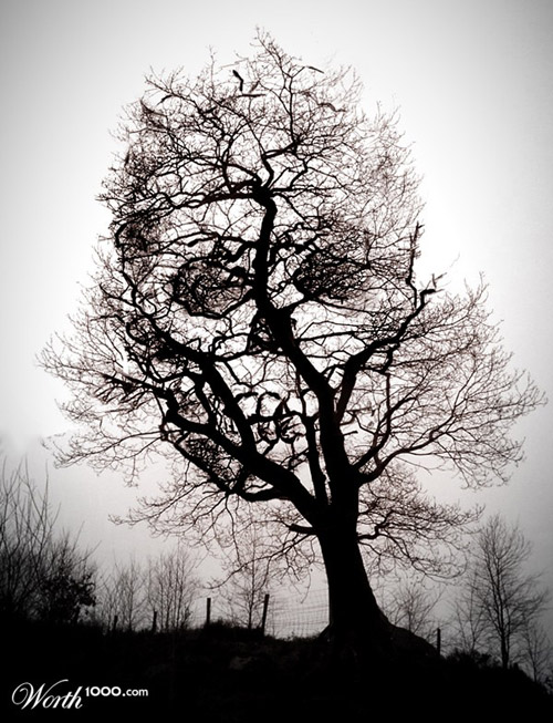 tree-of-death-photomanipulation