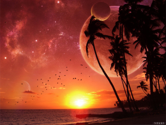 desktop backgrounds summer. Nexus – Summer Tropical Sunset