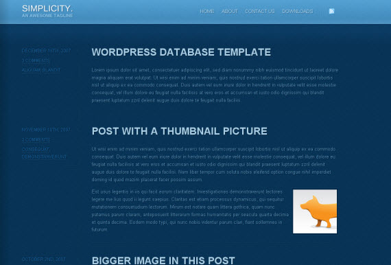 simplicity-free-premium-wordpress-theme