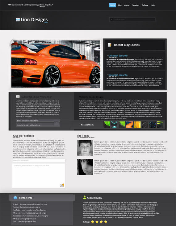 Lion-design-web-design-interface-inspiration-deviantart
