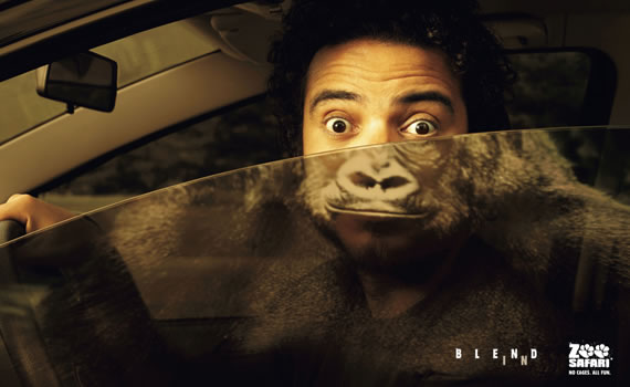Gorilla-show--most-interesting-and-creative-ads