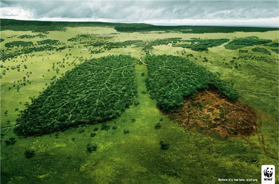 Wwf-lungs-most-interesting-and-creative-ads