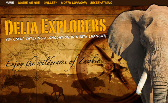 Delia-explorers-looking-textured-websites