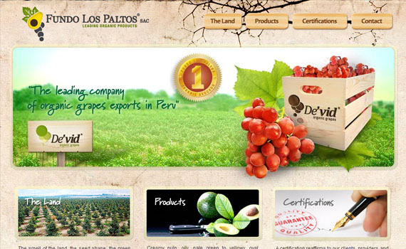 Fundo-los-paltos-good-looking-textured-websites