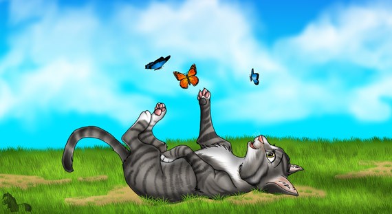 Кошка и бабочки