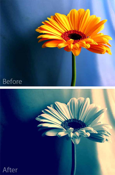 Photoshop-action-actions-to-enhance-your-photos