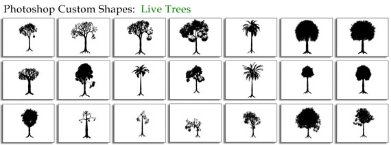 Live-trees-free-photoshop-custom-shapes