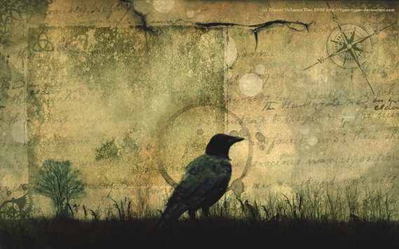 Crow_Wallpaper_by_Tiger_tyger