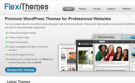 Flexithemes-marketplaces-buy-sell-wordpress-themes