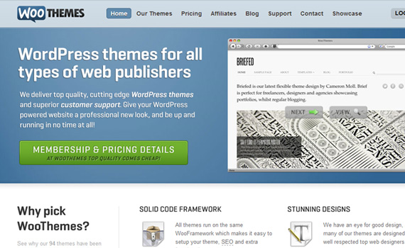 Woothemes-marketplaces-buy-sell-wordpress-themes
