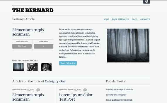 Bernard-premium-magazine-newsletter-wordpress-themes