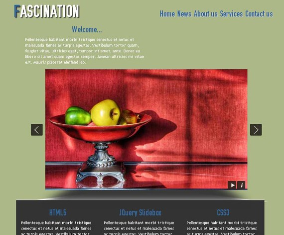Fascination HTML5 and CSS3 Template