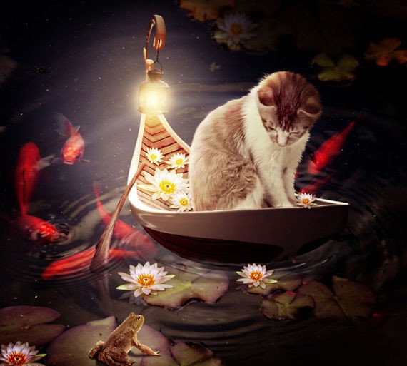 Create a Cat in a Magical Pond Scene Photo Manipulation
