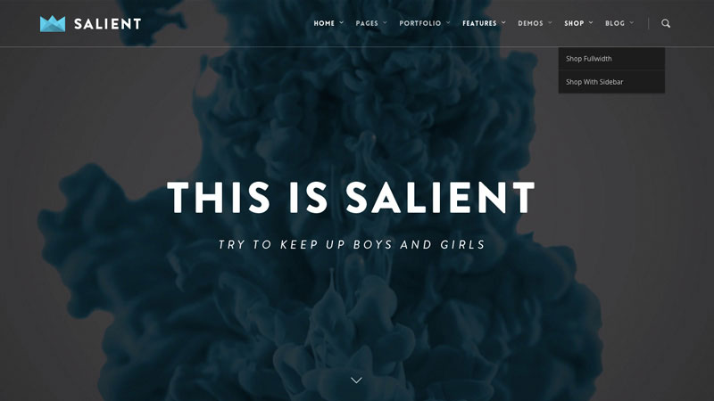 Salient is a responsive and retina ready WordPress theme with unlimited customising possibilities that will look stunning on any size device.