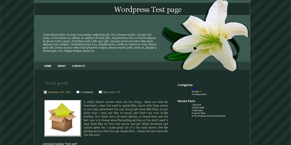 lily-wordpress-theme