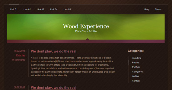 wood-experience-xhtml-css-template