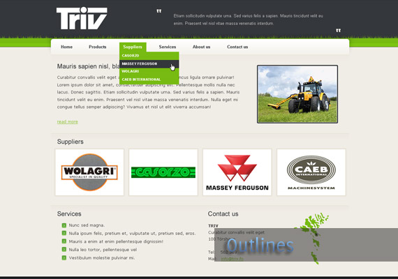 triv website-design