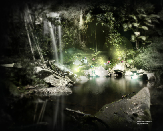 Enchanted Forest desktop-background