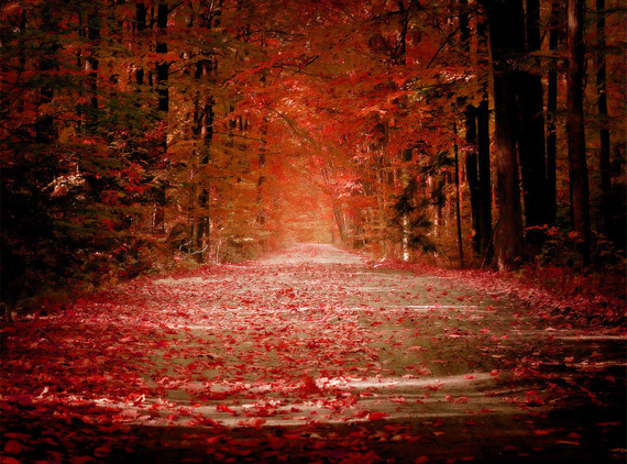 autumn-desktop-background