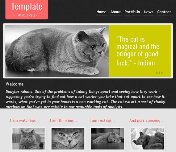 CatTemplate HTML5 and CSS3 Template
