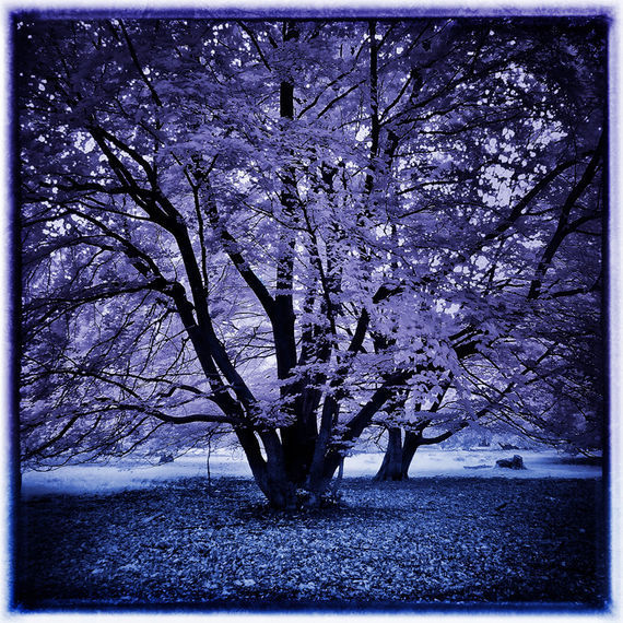 Page not found - Error 404 • Web Design Professionals - 1stWebDesigner